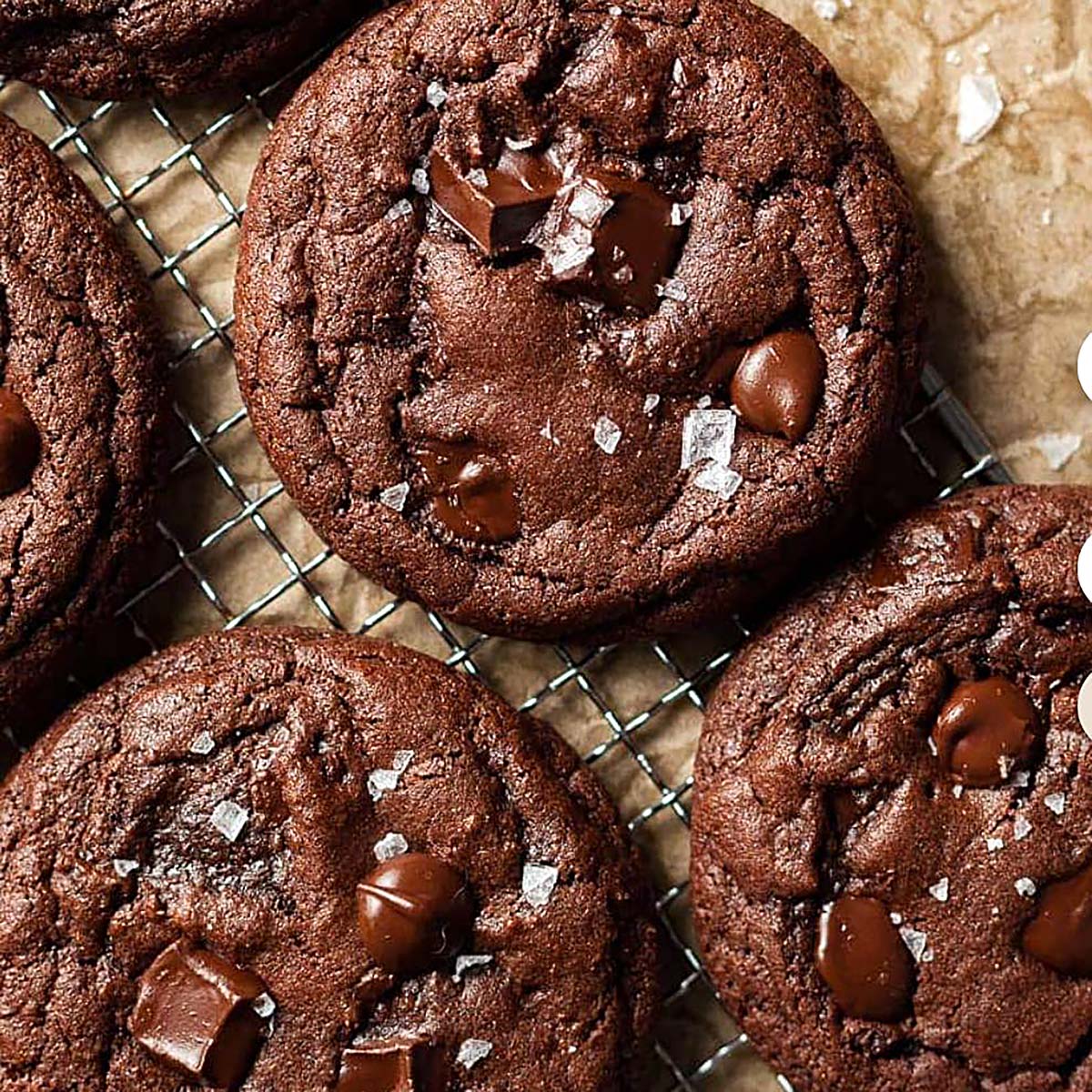 Gluten Free Chocolate Cookies